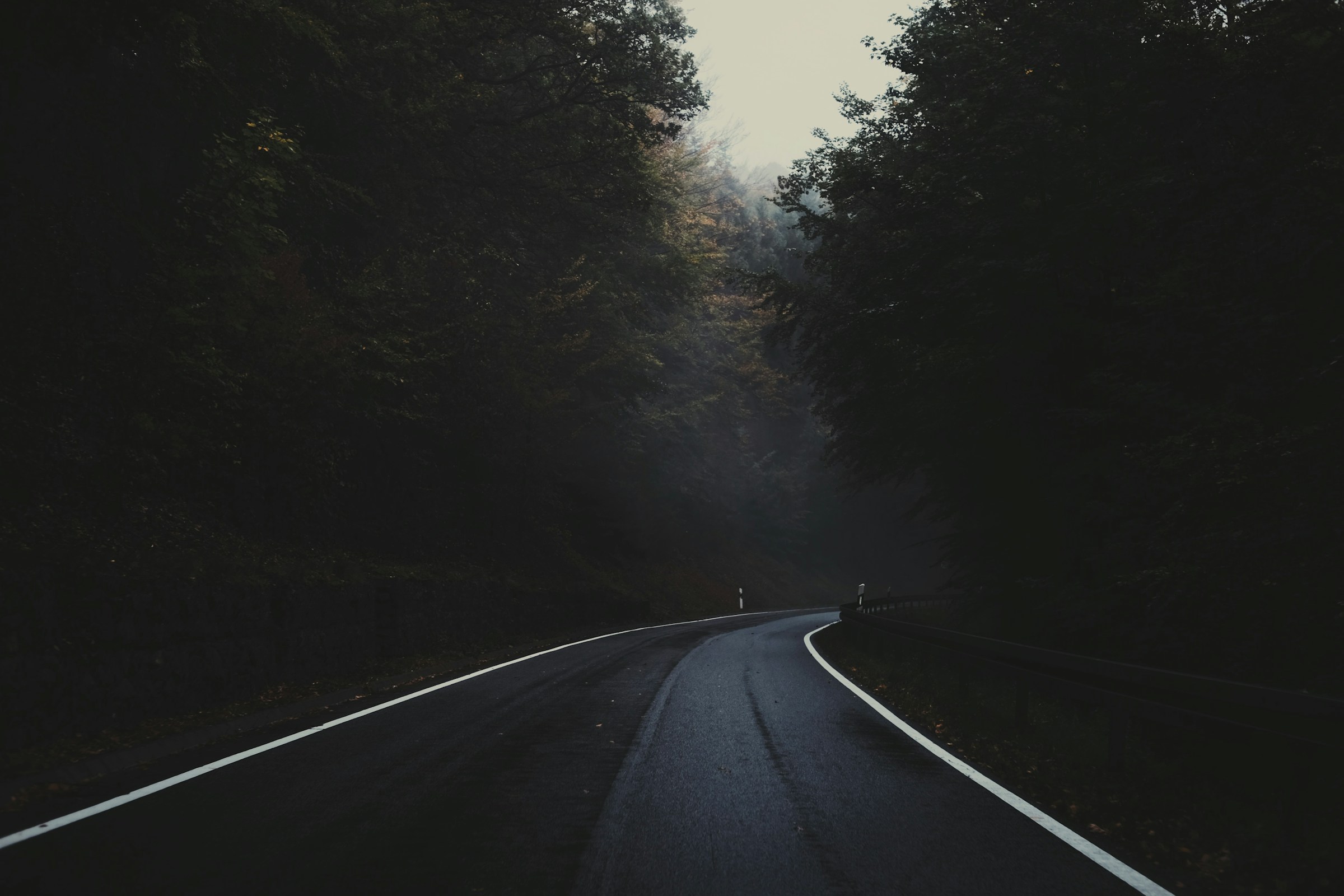 cinematic photograph of a winding forest road at dusk, damp asphalt reflecting ambient light, misty 